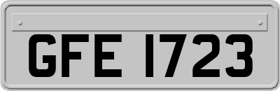 GFE1723
