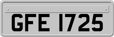 GFE1725