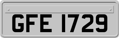 GFE1729
