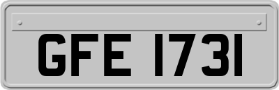 GFE1731