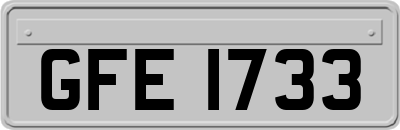 GFE1733