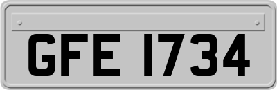 GFE1734