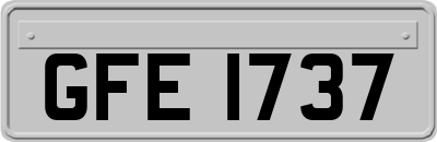GFE1737