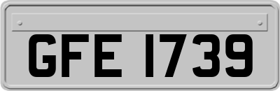 GFE1739