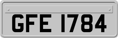 GFE1784
