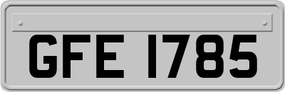 GFE1785