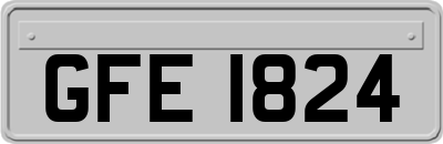 GFE1824