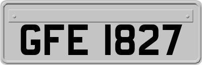 GFE1827