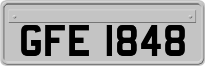 GFE1848