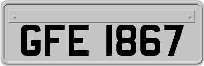 GFE1867