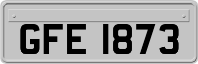 GFE1873