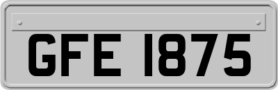 GFE1875