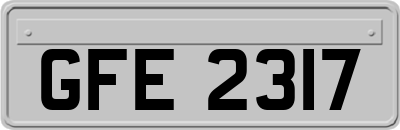 GFE2317