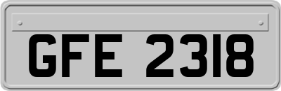 GFE2318