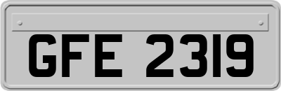 GFE2319
