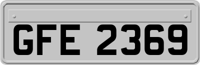 GFE2369