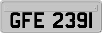 GFE2391