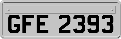 GFE2393