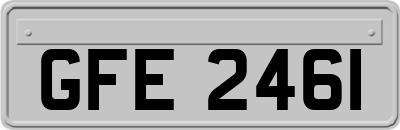 GFE2461