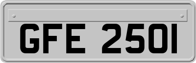 GFE2501