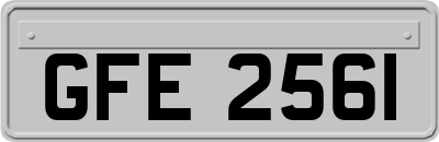 GFE2561