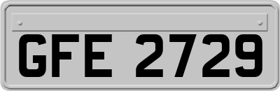 GFE2729