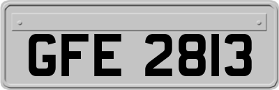 GFE2813