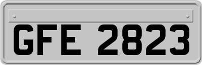 GFE2823
