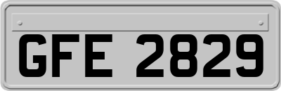 GFE2829