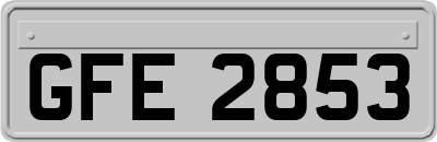 GFE2853