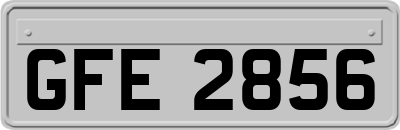 GFE2856