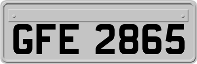 GFE2865