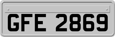 GFE2869