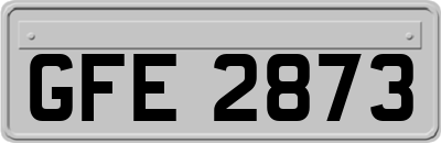 GFE2873