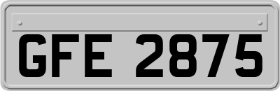 GFE2875