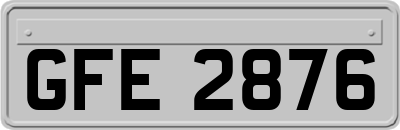 GFE2876