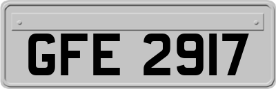 GFE2917