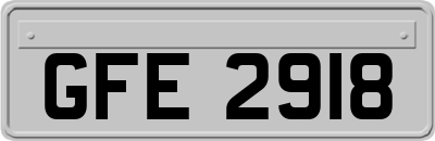 GFE2918