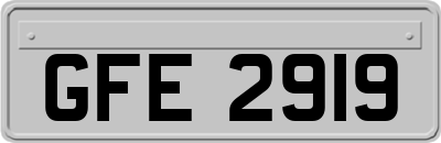 GFE2919