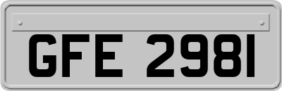 GFE2981