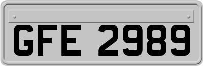 GFE2989