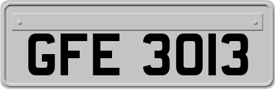 GFE3013