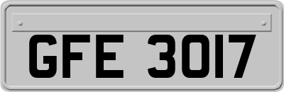 GFE3017
