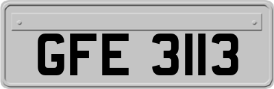 GFE3113