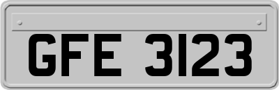 GFE3123