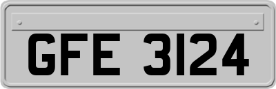 GFE3124