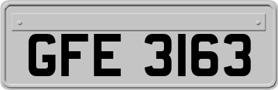 GFE3163