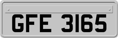 GFE3165