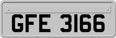 GFE3166