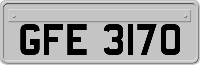 GFE3170